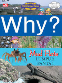 Why? Mud Flats (Lumpur Pantai)