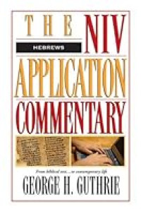 Image of Hebrews: The NIV Application Commentary