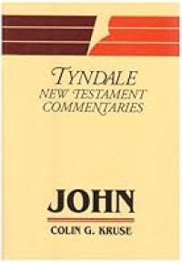Image of John (Tyndale New Testament Commentaries Vol.4)