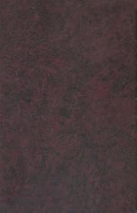 Image of The Inspiration and Authority of the Bible